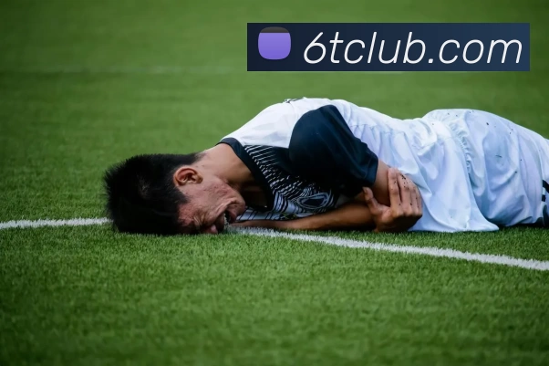 6T体育官网发展历程